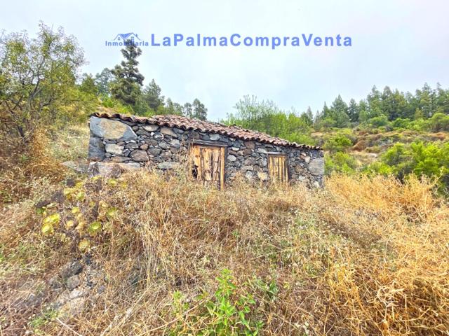 Suelo rústico en Venta en Tijarafe Santa Cruz de Tenerife photo 0