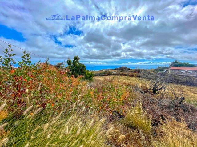 Suelo urbanizable en Venta en Paso, El Santa Cruz de Tenerife photo 0