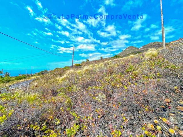 Suelo rústico en Venta en Villa De Mazo Santa Cruz de Tenerife photo 0