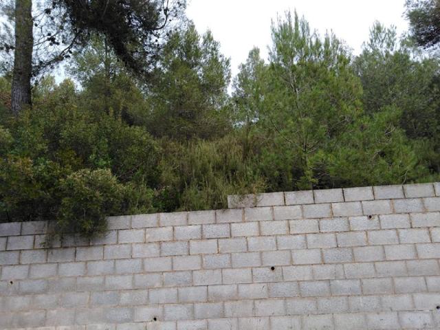 TERRENO URBANO CON PRECIOSAS VISTAS EN VENTA EN EL PONT DE VILOMARA (RIVER PARK) photo 0