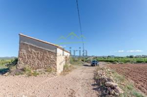 Ref. 04149 - Finca rústica de 18.300m2 con plantación de naranjos y caseta de aperos. photo 0