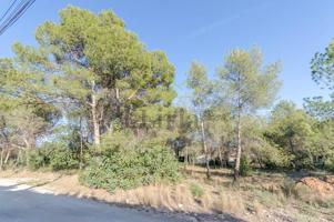 Ref. 04189- Parcela 3 URBANA en Pedralvilla (Olocau). photo 0