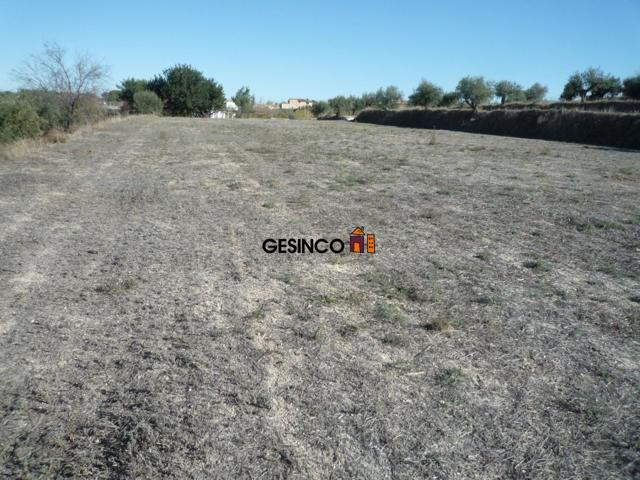 Terreno Urbanizable En venta en Agullent, Agullent photo 0