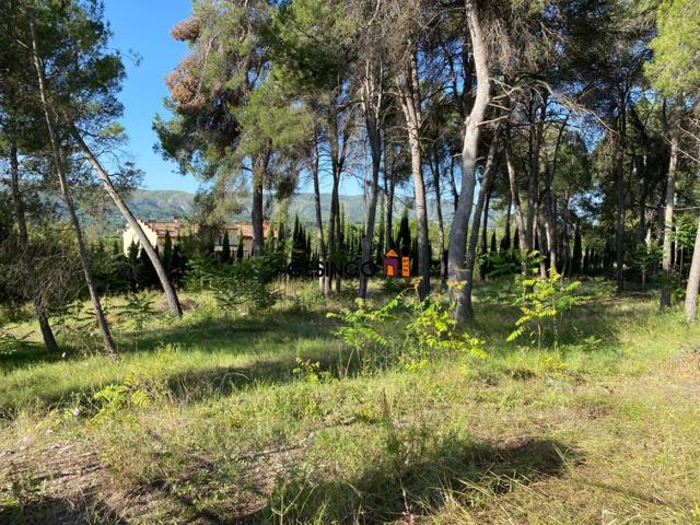 TERRENO EN VENTA JUNTO A LA URBANIZACION LAS AGUAS Y LA PUREZA photo 0