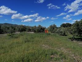 TERRENO RURAL EN VENTA EN ONTINYENT photo 0