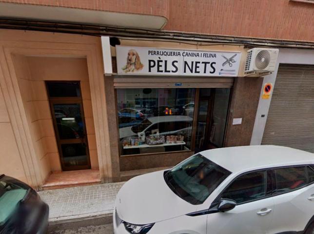 LOCAL COMERCIAL EQUIPADO PARA PELUQUERÍA CANINA photo 0