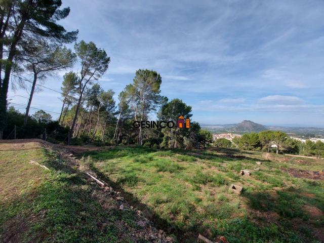 PARCELA MUY BIEN SITUADA EN PLENA NATURALEZA photo 0