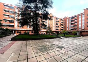 LOCAL photo 0