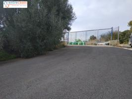 PARCELA DE DOS HANEGADAS EN PARTIDA LA COVA, VALL D'UIXO photo 0