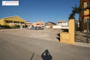 SOLAR EN MONCOFAR, ZONA BELCAIRE SUR. DIVIDIDO EN 2 PARCELAS. PRECIO COMPETITIVO photo 0