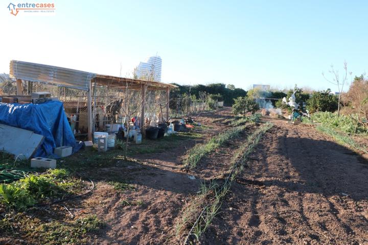 Conjunto de parcelas en Canet de Berenguer (zona gasolinera) photo 0