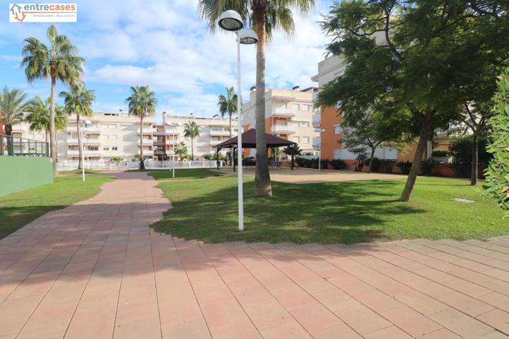 🌴 ¡Tu verano empieza aquí, en Nova Almenara! 🌴 photo 0