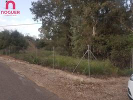 TERRENO EN ZONA CUEVAS BAJAS photo 0