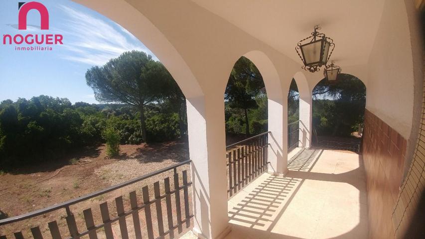 Parcela de 3.000m2 con casa 140m2 photo 0