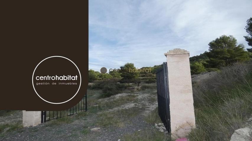 Parcela de 10.041m² en Monovar - Collado Victoriano photo 0