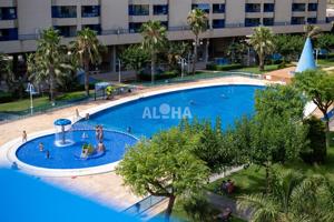 APARTAMENTO PARA ESTUDIANTES UNIVERSITARIOS EN LA PLAYA DE LA PATACONA photo 0