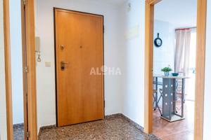 ALQUILER PARA ESTUDIANTES EN ALFARA DEL PATRIARCA photo 0