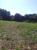Terreno Urbanizable En venta en Xustas-Frayalde, Pol photo 0