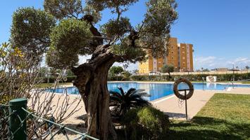Magnífico apartamento en una urbanización cerrada cerca de un gran parque de pinos y la playa. photo 0
