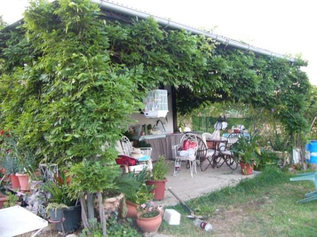 TERRENO EN CASTILBLANCO photo 0
