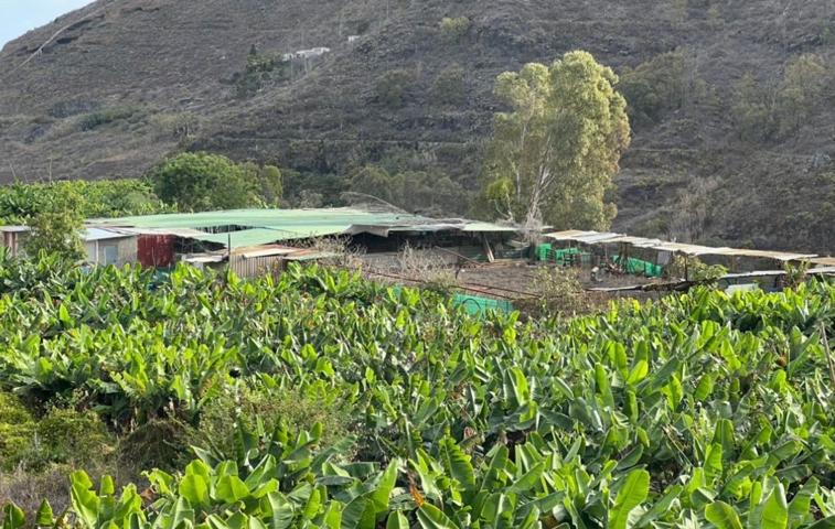 Terreno Urbanizable En venta en Hoya Olivares, El Palmar, Teror photo 0