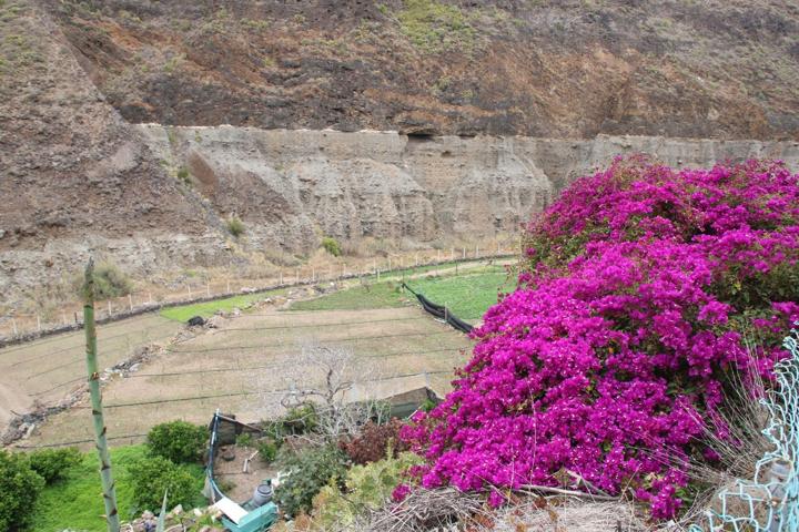 Terreno Urbanizable En venta en Puerto - Canteras, Las Palmas De Gran Canaria photo 0