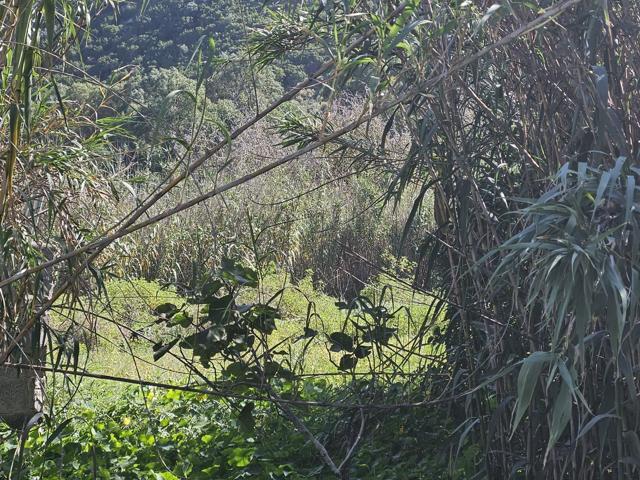 Terreno Urbanizable En venta en Pasaje Fuente Los Álamos, Los Castillos-Los Portales-Visvique, Arucas photo 0