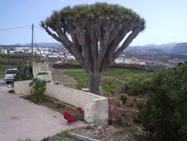 Casa De Campo En venta en Diseminado Doñana, 14, Santa Maria De Guia De Gran Canaria photo 0