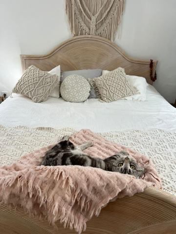  Ático En venta en Cl Domingo Guerra Del Rio, 3, Carretera Del Centro - Cono Sur, Las Palmas De Gran Canaria photo 0