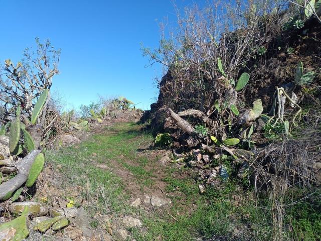 Terreno Urbanizable En venta en El Calabozo, 0, Santa Maria De Guia De Gran Canaria photo 0
