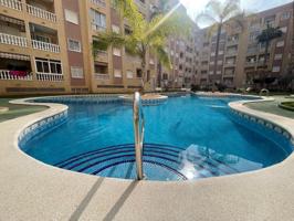 Apartamento en pleno centro de Torrevieja con precios piscina comunitaria photo 0