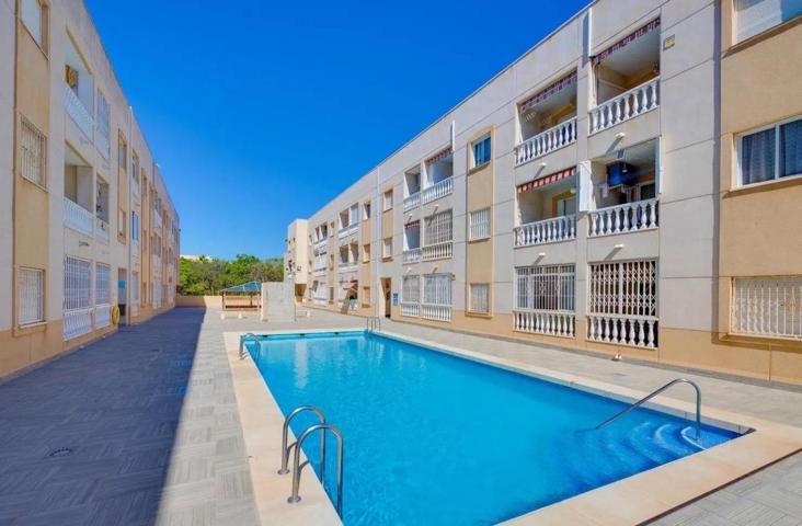 Apartamento de 1 dormitorios con vistas a la piscina photo 0