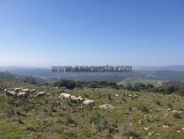 Terreno Urbanizable En venta en Casares, Casares photo 0