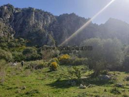 Terreno Urbanizable En venta en Casares, Casares photo 0