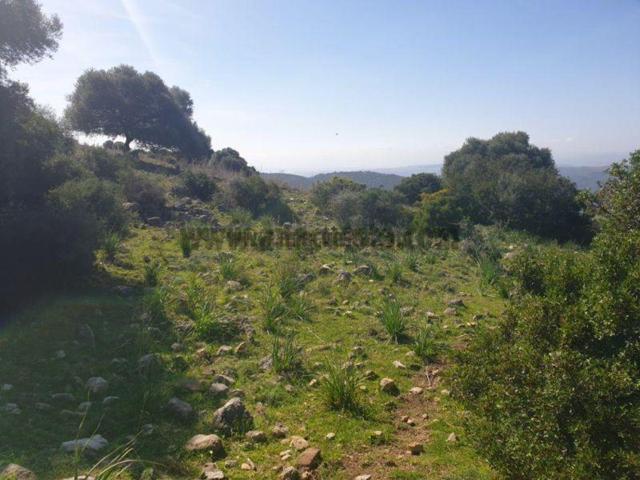 Terreno Urbanizable En venta en Casares, Casares photo 0
