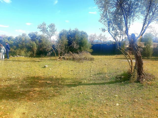 Terreno Urbanizable En venta en La Planilla, Cra. A-6300, Ronda, Ronda photo 0