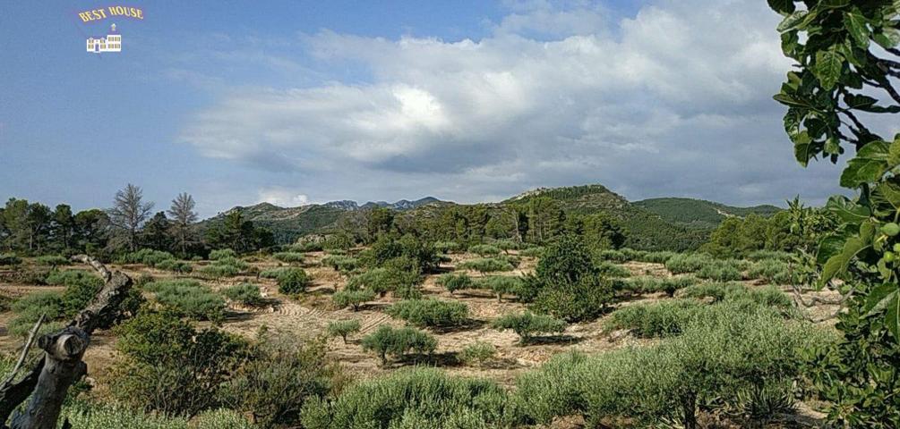 Finca Rústica de 17,61 hectáreas con masia photo 0