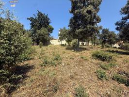 TERRENO URBANO EN VENTA EN CAN CAYAMERES, SENTMENAT - OPORTUNIDAD ÚNICA photo 0