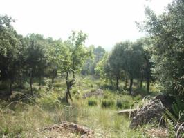 TERRENO EN VENTA Urbanización Pedritxes - Matadepera (Bcn). photo 0