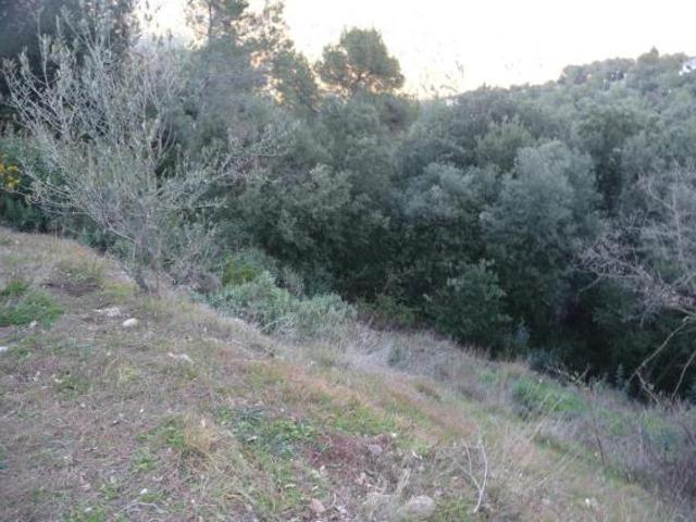 TERRENO EN VENTA Urbanización Pedritxes - Matadepera (Bcn) photo 0
