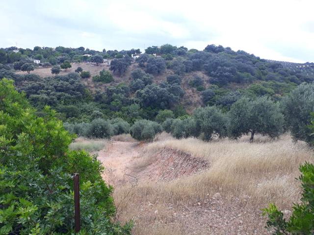 Parcela con luz y agua. photo 0