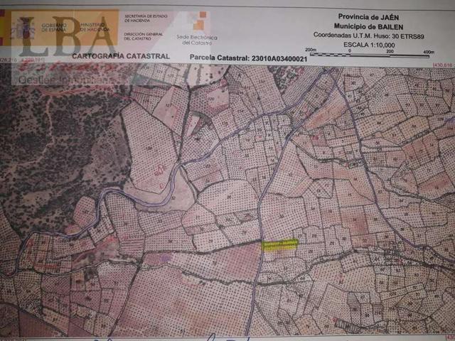 Olivar con 34 matas. photo 0