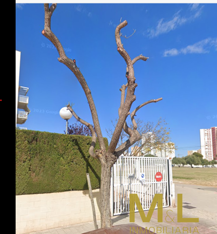 Piso En alquiler en Lepanto, La Pobla De Farnals photo 0