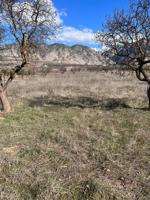 TERRENO RUSTICO EN PADUL photo 0