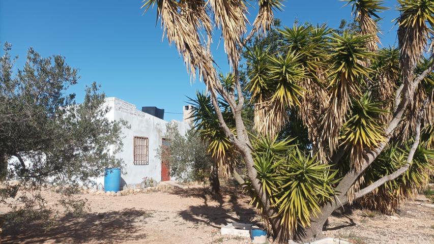 Casa En venta en L'Ampolla photo 0