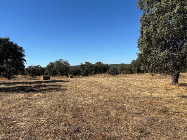 ¡Venta de Finca Agrícola y Ganadera! photo 0