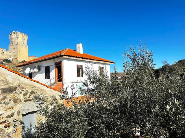 ESTUPENDA FINCA DE 2 HA A LOS PIES DEL CASTILLO DE BELALCÁZAR!!! photo 0