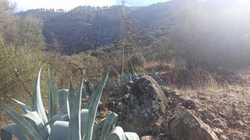 Tres parcelas en la zona de los Montes en Valsequillo. photo 0