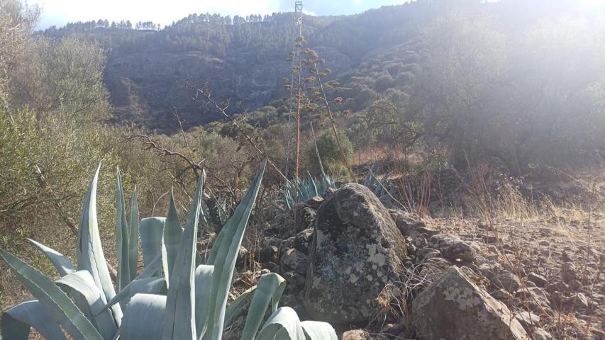 Tres parcelas en la zona de los Montes en Valsequillo. photo 0