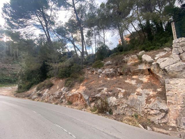 TERRENO EN SANT FELIU DEL RACO.UN LIENZO EN BLANCO photo 0